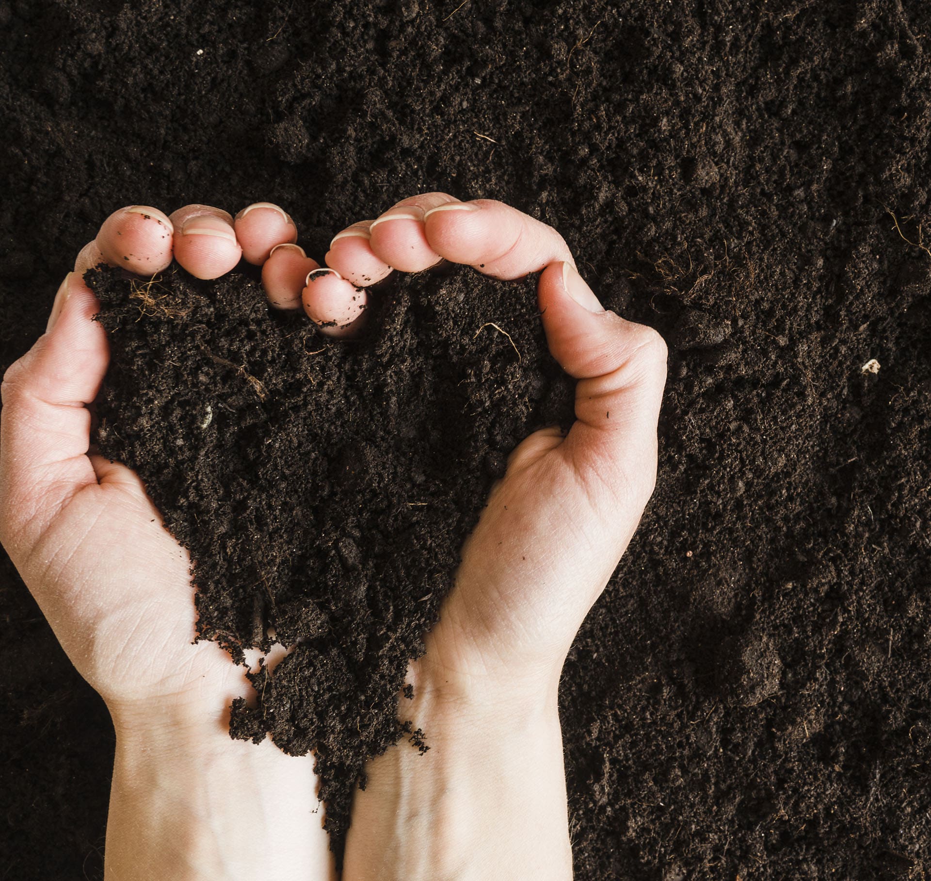 O design estratégico na representação da sustentabilidade das embalagens Natura Ekos